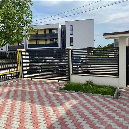 Cozy Apartament With 2Rooms Тімішоара Екстер'єр фото