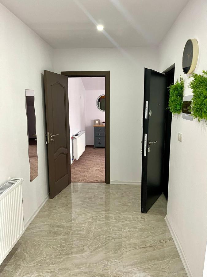Cozy Apartament With 2Rooms Тімішоара Екстер'єр фото