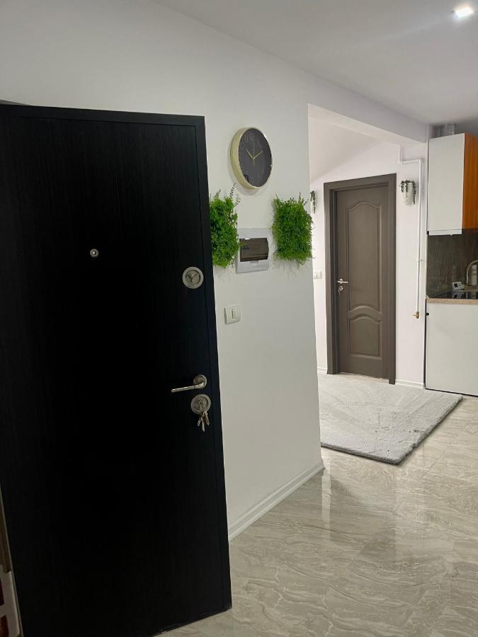 Cozy Apartament With 2Rooms Тімішоара Екстер'єр фото