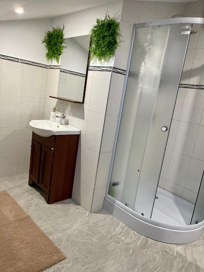 Cozy Apartament With 2Rooms Тімішоара Екстер'єр фото